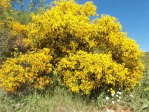 Promenade en pleine nature, le 15 mai 2016