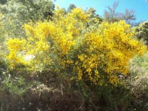 Promenade en pleine nature, le 15 mai 2016