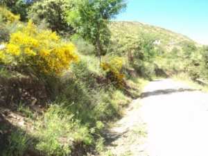 Promenade en pleine nature, le 15 mai 2016