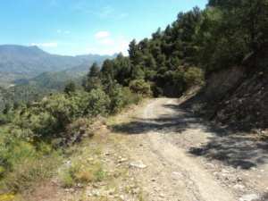 Promenade en pleine nature, le 15 mai 2016
