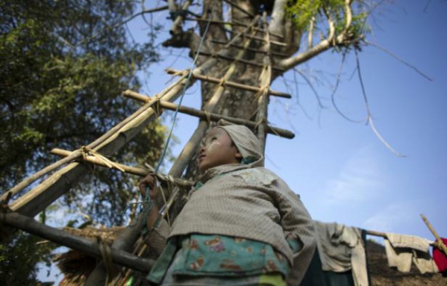 Planète -  Birmanie: la déforestation pousse les éléphants vers les villages, au grand dam des habitants