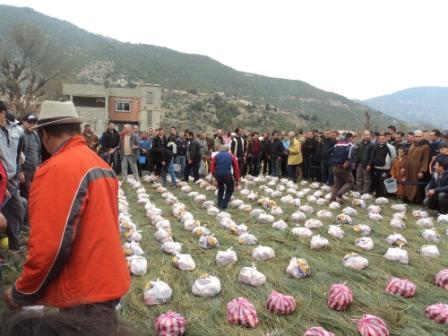 Louziaa du 24 décembre 2015 à Lemroudj