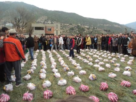 Louziaa du 24 décembre 2015 à Lemroudj