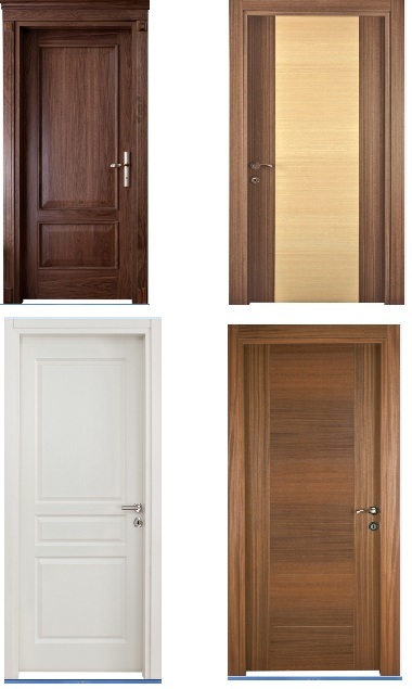 Portes d'importation de haute qualité pour bureaux et appartements