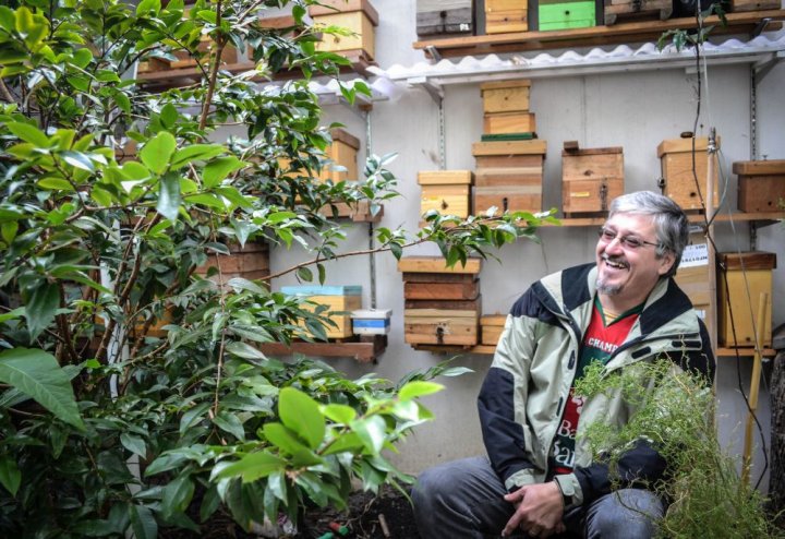 Planète - Au Brésil, des passionnés sauvent les abeilles sans dard et préservent la biodiversité