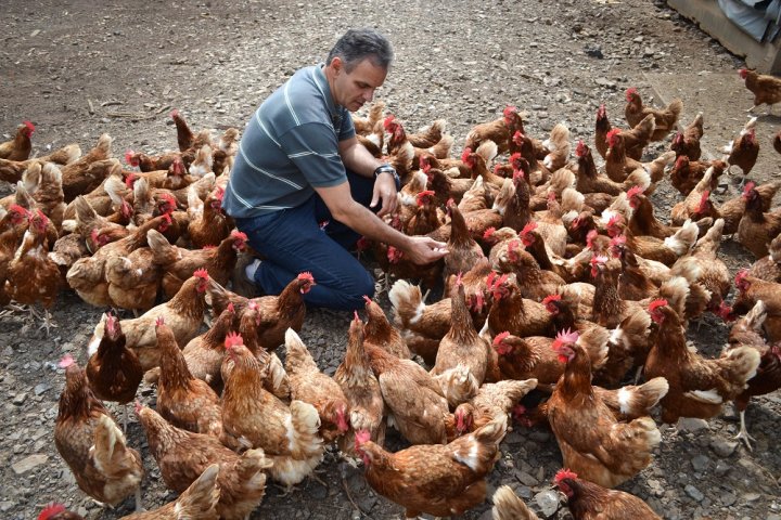 Planète - Dans l’empire de l’agrobusiness, au Brésil, une entreprise bio défend une agriculture «spiritualiste»