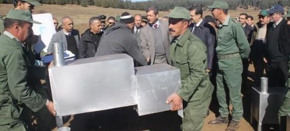 Maghreb - Maroc: Des fours modernes distribués pour lutter contre la déforestation  ...