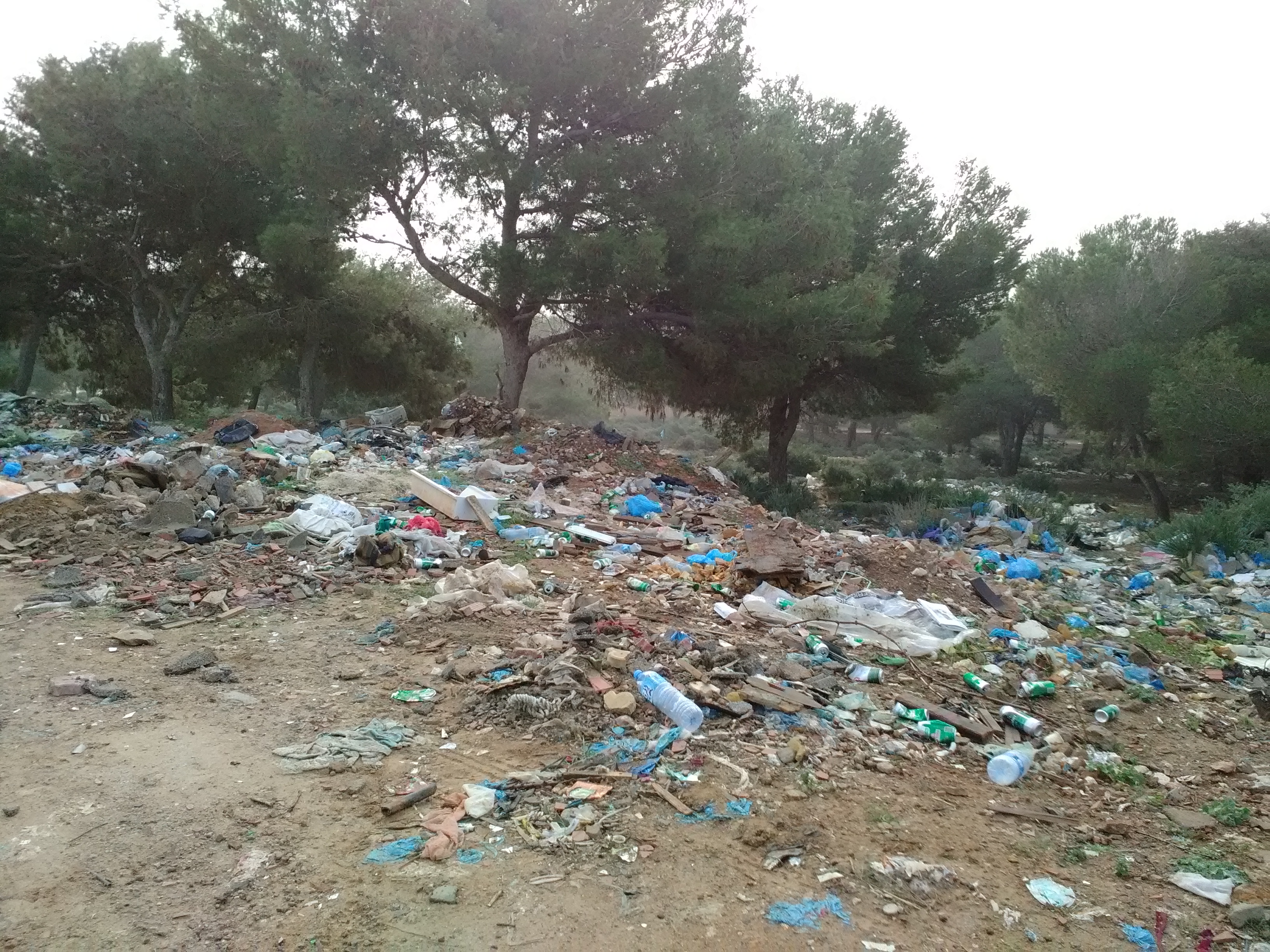 la foret de gdyel agonise