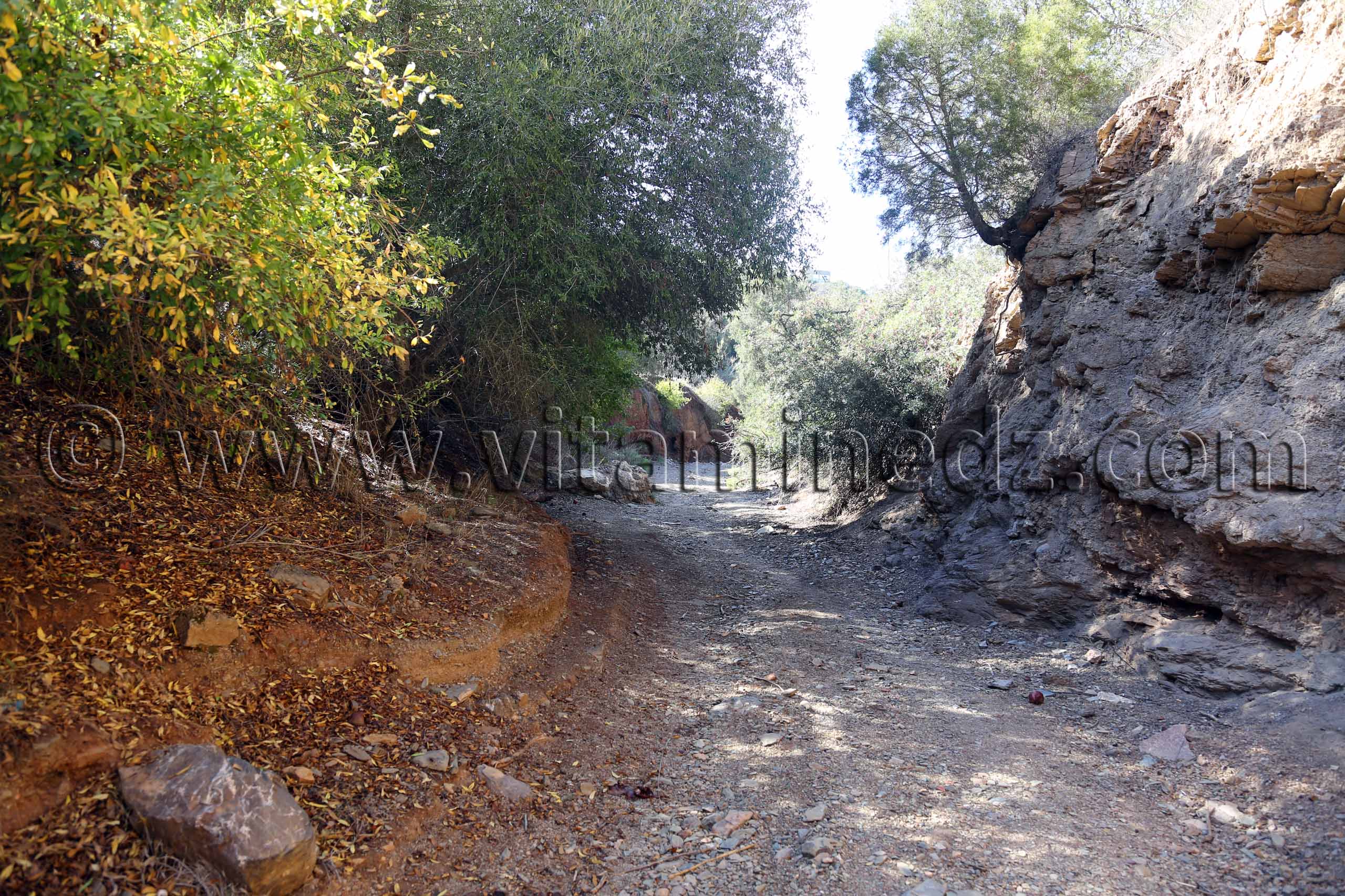 Route escarpée non accessible aux voitures - Plage Bkhata - Commune Souahlia (Tlemcen)