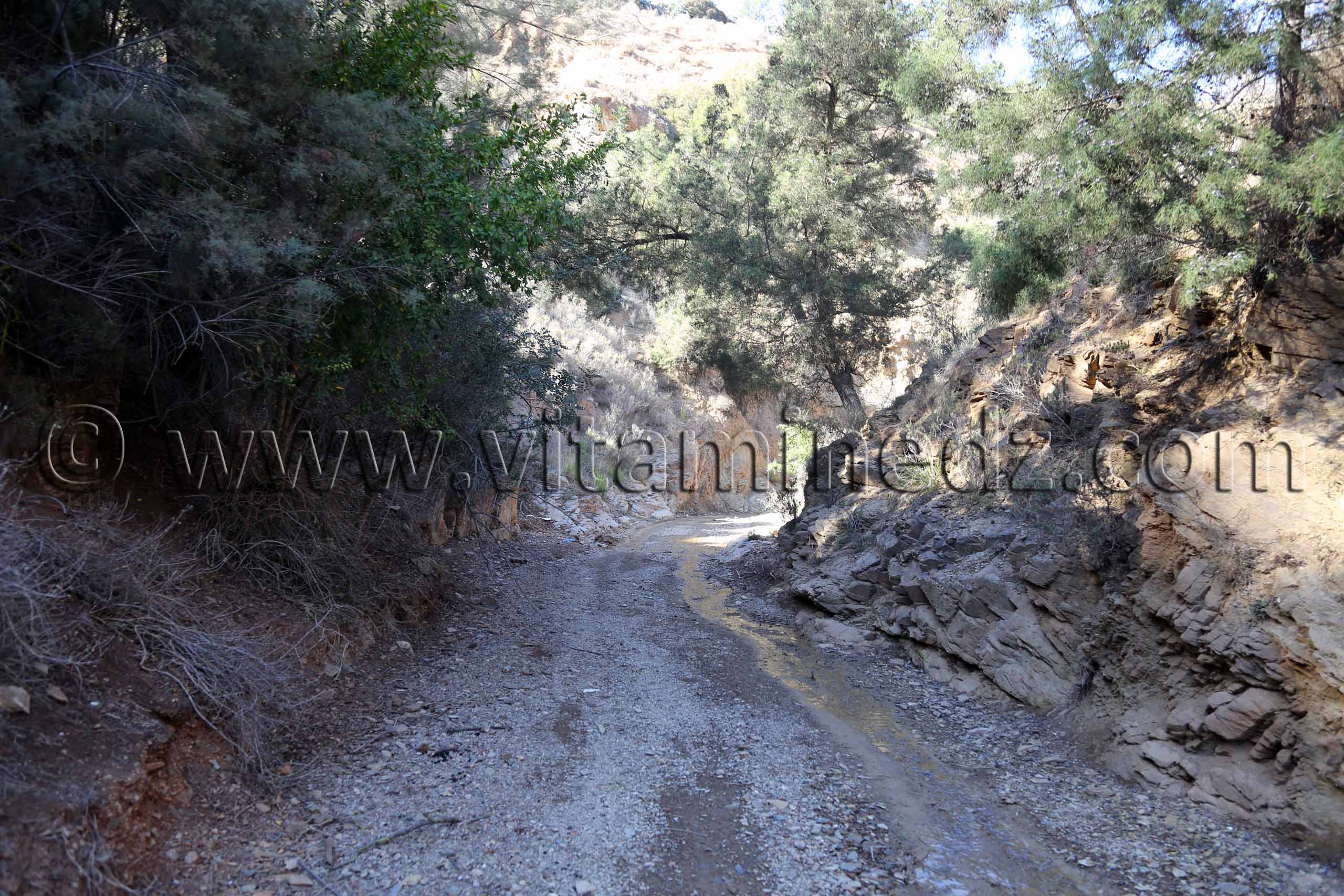 Chemins escarpés pour atteindre la Plage Bkhata - Commune Souahlia (Tlemcen)