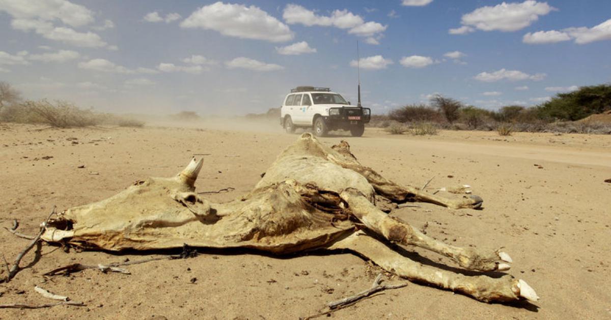 Afrique - L’ONU PARLE D’UNE SITUATION HUMANITAIRE “ALARMANTE”:   Grave sécheresse en Somalie