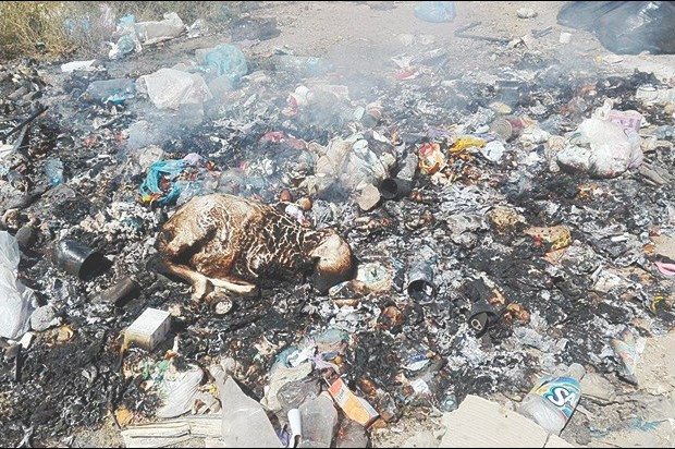 ARRÊT SUR IMAGE:  Vu à la cité Tafsit, dans la ville de Tamanrasset