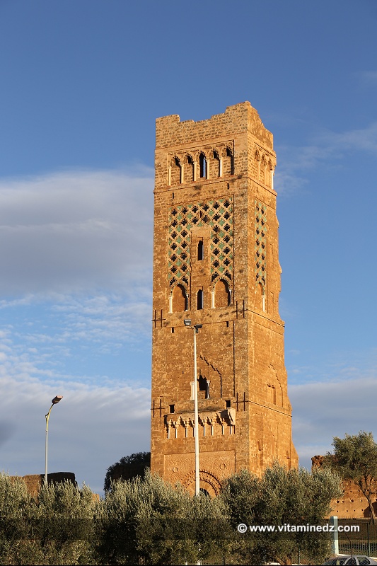 Minaret d'El Mansourah