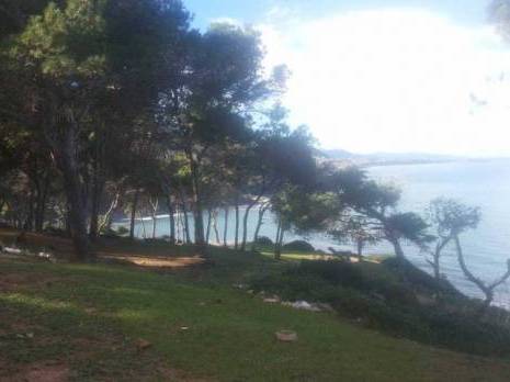 Tipasa - Amnésie autour d’un projet de massacre environnemental