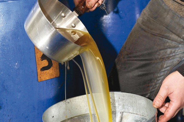 SALON INTERNATIONAL OLÉICOLE DE TLEMCEN:  Promouvoir l’exportation de l’huile algérienne