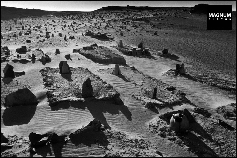 ALGÉRIE. Près de Timimoun 1981. cimetière musulman dans le désert.