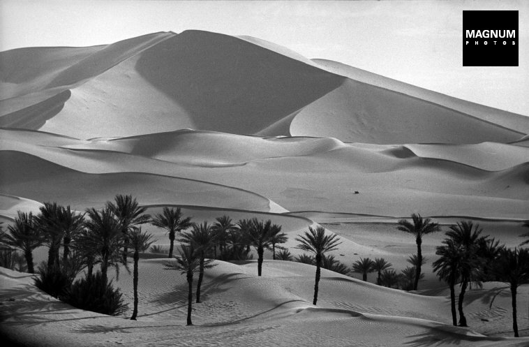 ALGÉRIE. Sahara. Palmeraie de Kerzaz près du Grand Erg Occidental. 1957