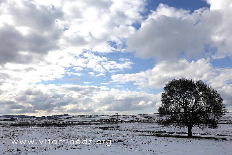 Oued Ennachef, Tlemcen Parc National, neige abondante sur les hauteurs de Terny