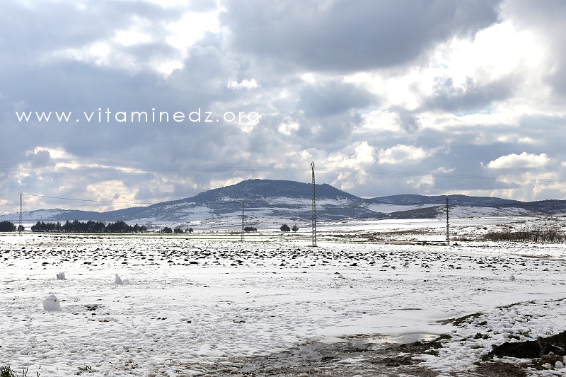 Tlemcen  Parc National, neige abondante sur les hauteurs de Terny