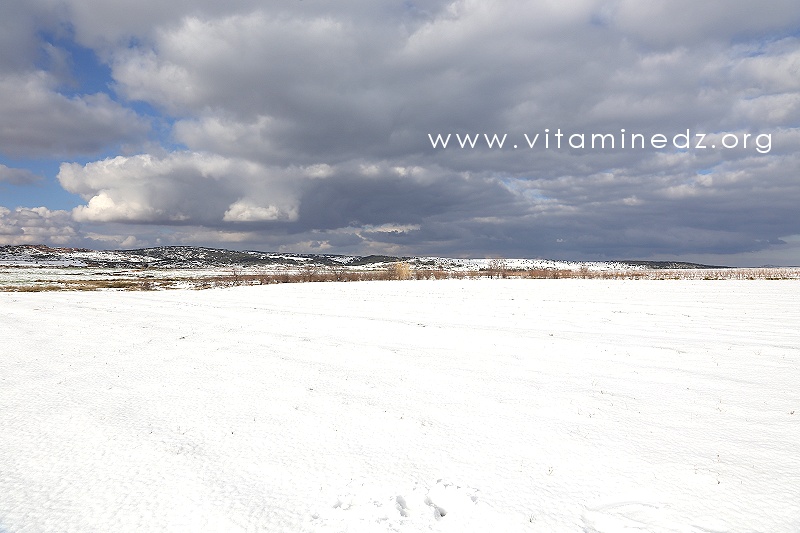 Tlemcen  Parc National, neige abondante sur les hauteurs de Terny