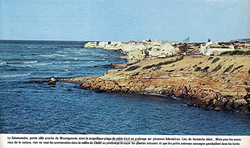 La Salamandre ... ce fut un temps