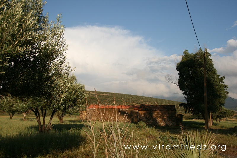 Ferme à l'entrée de Tagma