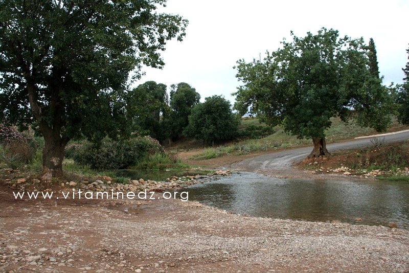 Région de Tagma, le Oued Chouly débordant sur la route