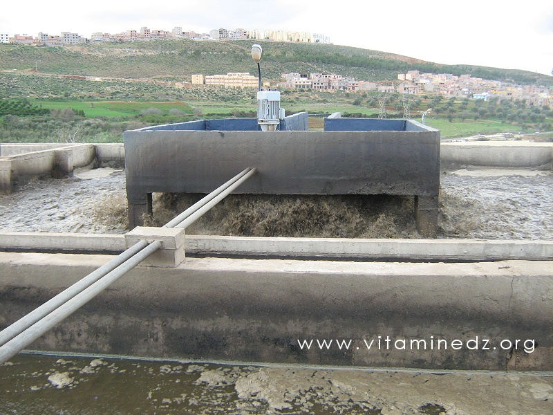 Station d'epuration des eaux usées de Tlemcen - Ain El Hout