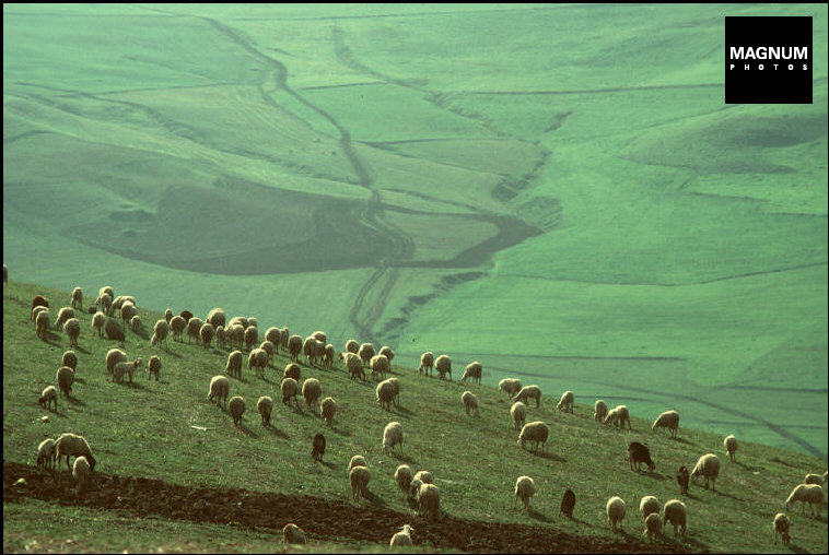 ALGERIA. Constantine. 1982.