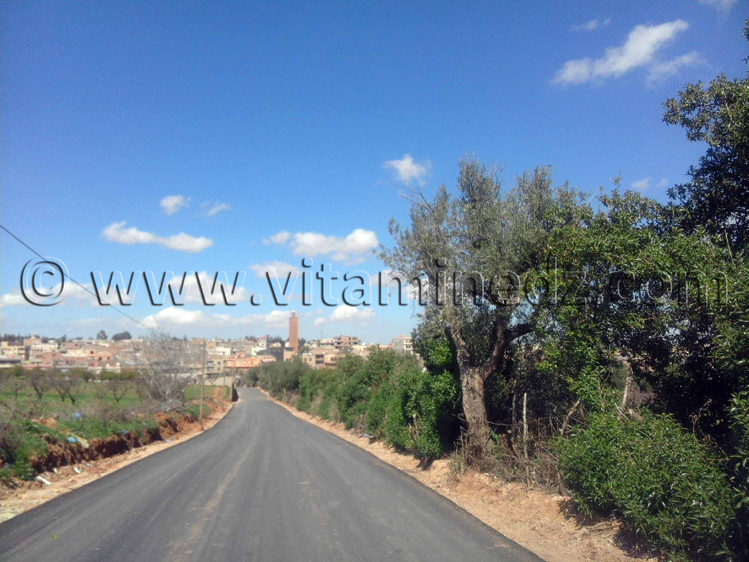 Photo Brea (Abou-Tachfine) Tlemcen