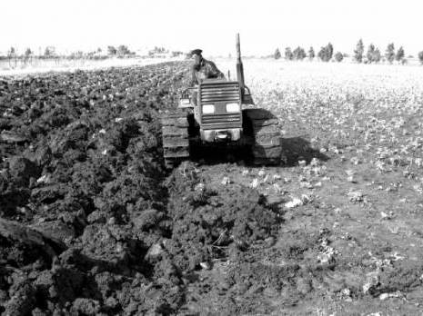 Algérie - Investissement agricole: 162 fermes pilotes ouvertes au partenariat