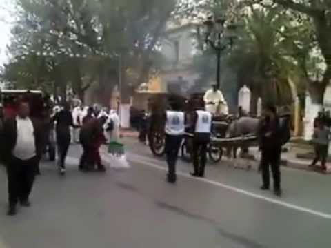 Tlemcen - La journée sans voiture anime la ville