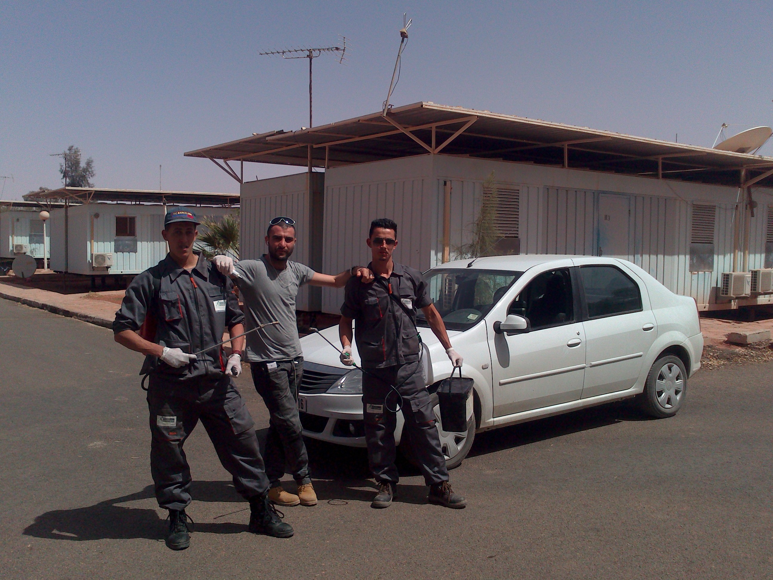 DÉRATISATION DÉSINSECTISATION DÉSINFECTION