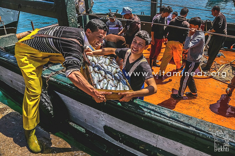Pêcheur déchargeant leurs cargaison - Port de Pêche de Ghazaouet