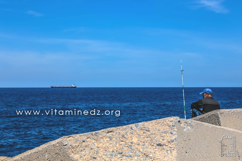 Pêche à la ligne la vraie détente - Port de Pêche de Ghazaouet