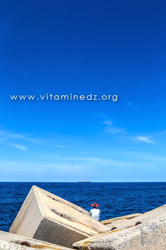 La vraie vie - Port de Pêche de Ghazaouet