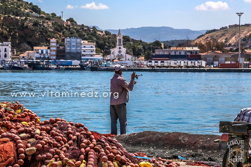 Pêcheur à la ligne - Port de Pêche de Ghazaouet