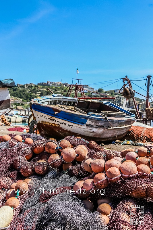 Bateau de peche - Port de Pêche de Ghazaouet