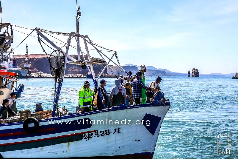 Entrée de bateau de peche - Port de Pêche de Ghazaouet