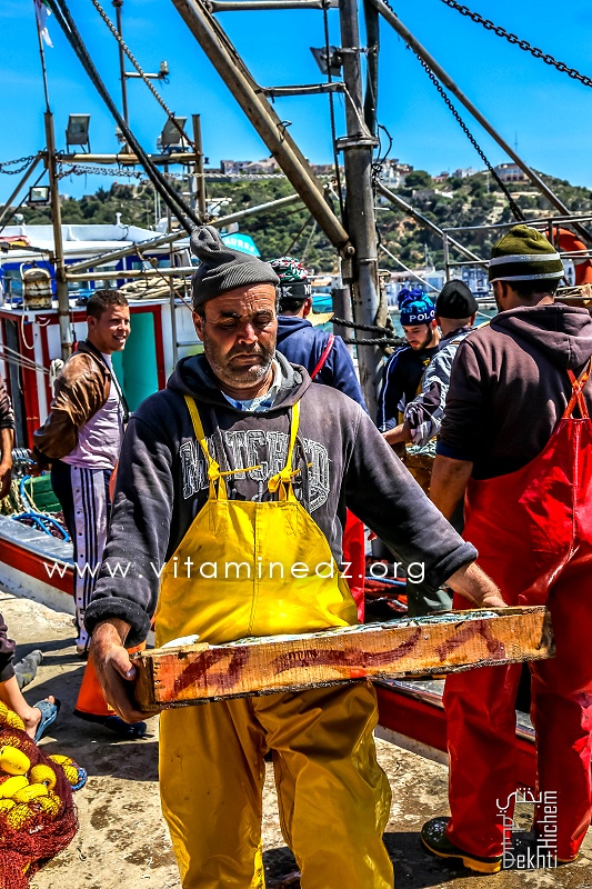 Vie de pêcheurs - Port de Pêche de Ghazaouet