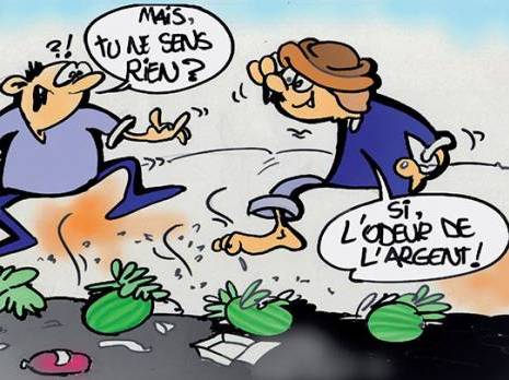 Irrigation des terres agricoles par les eaux usées à Biskra:  De «sales» pratiques qui ont la peau dure