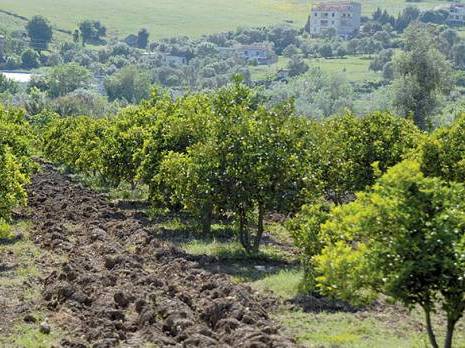 Premier Salon du genre à Akfadou:  Le salut, c’est l’agriculture!