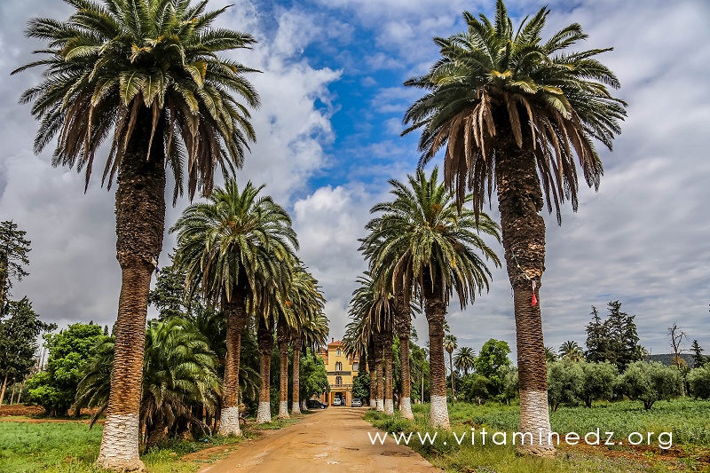 Chambre de l'agriculture de Tlemcen dans le domaine de Lismara (ferme Dolfus)