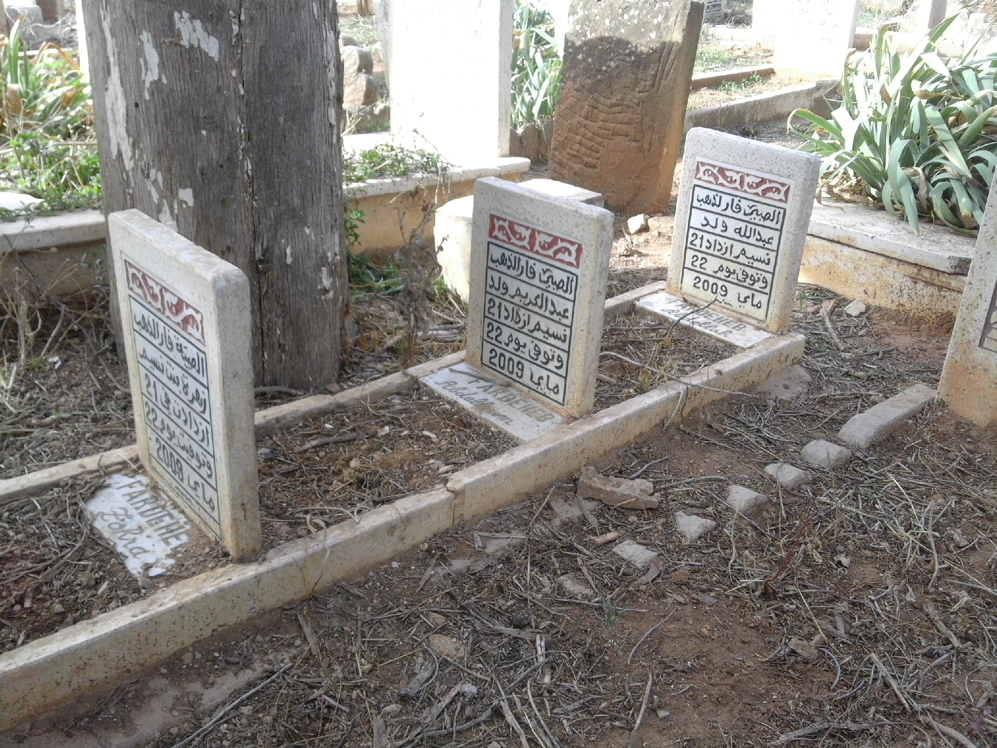Cimetière Sidi Senoussi  Un triplet (Beaucoup de peine pour la maman, je présume)
