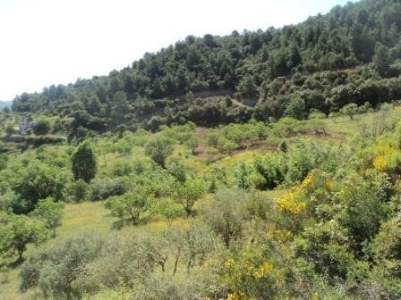 Promenade en pleine nature, le 15 mai 2016