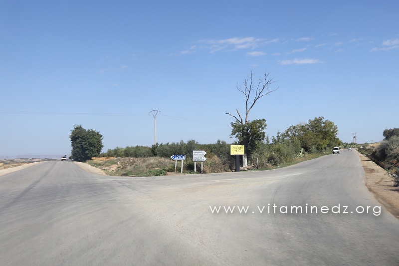 Route vers Chleida et Sidi Abdelli à droite, Route vers Bensekrane Tout droit