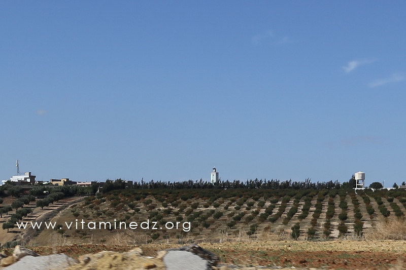 Village La3ribet vu de la route Nationale 2