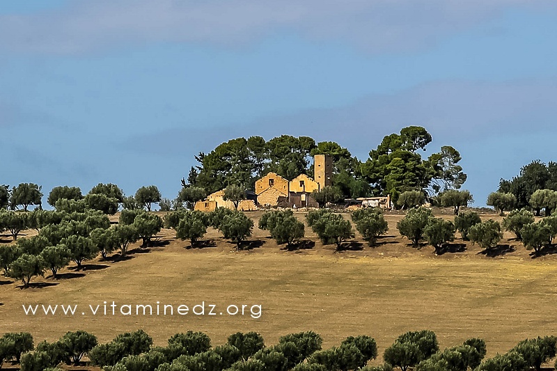 Ancienne ferme coloniale complètement abandonnée sur la route de Laribat - Amieur