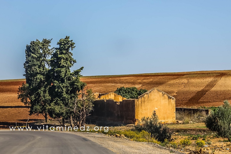 Ancienne ferme coloniale complètement abandonnée sur la route de Bensekrane