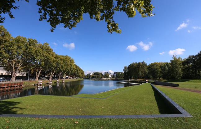 Planète - Les espaces verts, une richesse insoupçonnée pour les villes